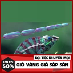 [ Mua 5 Tặng 1 ] Trục Câu Đài Buộc Sẵn K9 Buộc Sẵn DT09 8