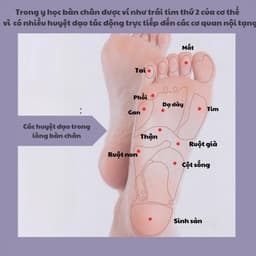 Máy Massage Bàn Chân Cao Cấp – Bàn Lăn Bấm Huyệt Từ Tính Thư Giãn Toàn Thân 4