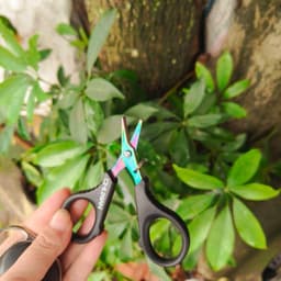 Kéo cắt dây PE, cắt chì kèm khoá đeo bảo hiểm Chuxian kjgfnbc6868 2
