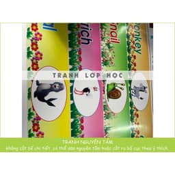(Có sẵn) Decal mầm non- TRANG TRÍ BẬC CẦU THANG mẫu hoa quả, động vật 6