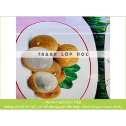 (Có sẵn) Decal mầm non- TRANG TRÍ BẬC CẦU THANG mẫu hoa quả, động vật 7