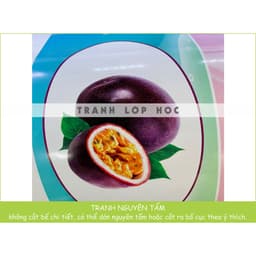 (Có sẵn) Decal mầm non- TRANG TRÍ BẬC CẦU THANG mẫu hoa quả, động vật 8