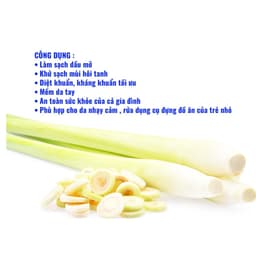 [CHÍNH HÃNG- LỌ 1000ML ] Nước rửa chén bát hữu cơ Bồ Hòn Bio Nano - Sạch dầu mỡ, tinh dầu khử mùi- Sản Phẩm Viện Hàn L 5