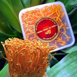 [CHÍNH HÃNG ] Đông Trùng Hạ Thảo Tươi Viện Hàn Lâm Hũ 150Gr - SHIP HỎA TỐC - nấu ăn, ngâm trà 2