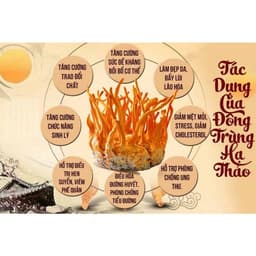 [CHÍNH HÃNG ] Đông Trùng Hạ Thảo Tươi Viện Hàn Lâm Hũ 150Gr - SHIP HỎA TỐC - nấu ăn, ngâm trà 6