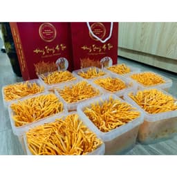 [CHÍNH HÃNG ] Đông Trùng Hạ Thảo Tươi Viện Hàn Lâm Hũ 150Gr - SHIP HỎA TỐC - nấu ăn, ngâm trà 3