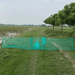 Dớn Chặn Sông 5M, Thiết Kế Chắc Chắn, Thuận Tiện Đánh Bắt Tôm Cá, Mắt Lưới 4 Ly - Sami Store 5