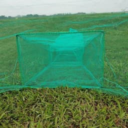 Dớn Chặn Sông 5M, Thiết Kế Chắc Chắn, Thuận Tiện Đánh Bắt Tôm Cá, Mắt Lưới 4 Ly - Sami Store 6