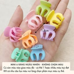 Kẹp Tóc Gắp 6 Răng NHÀ CÚ Kẹp Mái Kẹp Nửa Tóc Nhựa Cao Cấp Phong Cách Hàn Quốc Màu Pastel 5788 5