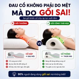 Gối Công Thái Học Massage Cổ Tại Nhà–Gối Định Hình Giúp Thư Giãn Đốt Sống Cổ,Hỗ Trợ Đỡ Cổ Vai Gáy 5