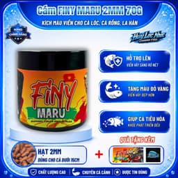 Cám FINY MARU Cho Cá Lóc Vảy Rồng | Vảy Rồng Đỏ, Vảy Rồng Vàng | Hỗ Trợ Lên Màu Yellow Red, Hoa Văn Batik 4