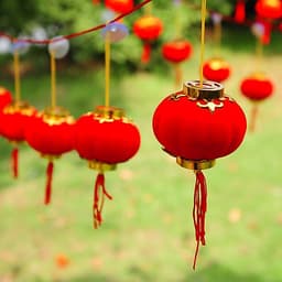 COMBO 20 Đèn lồng NILONG  đỏ Giá Rẻ  chữ Phúc treo trang trí Tết  treo tết đèn lồng nilong 8