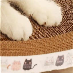 Bàn cào móng tròn kiêm ổ nằm size 40*9  cho mèo tặng kèm Catnip cao cấp 5