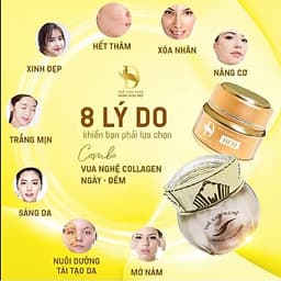 Vua Nghệ Collagen , Kem Ngày Và Đêm, Kem Nám, Tàn Nhang, Sạm Da, Da Sáng và Mềm Mịn, Hoàng Ngọc Diệp 3