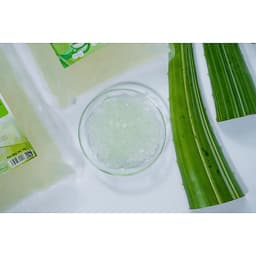 Thạch Nha Đam Aloka Hương Tự Nhiên Túi 1 Kg Giòn Thanh Mát Chế Biến Sẵn Ăn Liền - Kaizenco , dokhogiasi 7