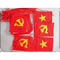 Cờ dây sao, cờ dây tổ quốc, chất liệu vải phi bóng 2025 3