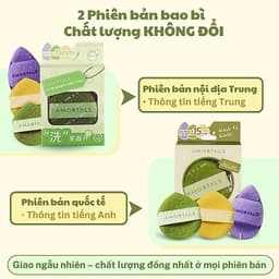Bông Mút Rửa Mặt Bọt Biển AMORTALS 1 Miếng - 3 Miếng, Bông Rửa mặt Bọt Biển AMORTALS Tạo bọt, làm sạch da mặt 2