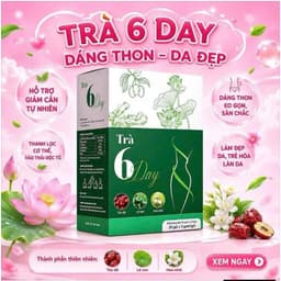 Trà 6Day Hỗ Trợ Kiểm Soát Cân Nặng, Duy Trì Vóc Dáng Cân Đối – Hộp 30 Gói|hutohutoshop 8