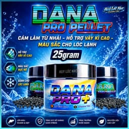 Cám DANA PRO+ Cho Cá Lóc Lạnh - Hỗ Trợ Phát Triển Fin Kỳ Cao, Tăng Màu Sắc Cho Nữ Hoàng, Barca, Andrao 2