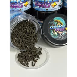 Cám DANA PRO+ Cho Cá Lóc Lạnh - Hỗ Trợ Phát Triển Fin Kỳ Cao, Tăng Màu Sắc Cho Nữ Hoàng, Barca, Andrao 3