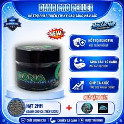 Cám DANA PRO Cho Cá Lóc Lạnh - Hỗ Trợ Phát Triển Fin Kỳ Cao, Tăng Màu Sắc Cho Nữ Hoàng, Barca, Andrao 2