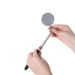 Gương Kè Cá Lóc Cảnh - Kích Thích Sung Mãn, Tăng Bản Năng Săn Mồi, Hỗ Trợ Tập Cá Hiệu Quả 6