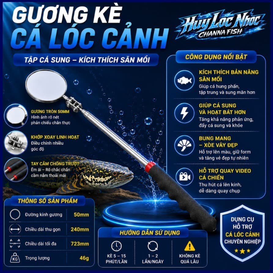 Gương Kè Cá Lóc Cảnh - Kích Thích Sung Mãn, Tăng Bản Năng Săn Mồi, Hỗ Trợ Tập Cá Hiệu Quả