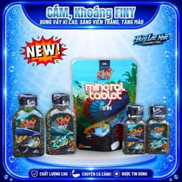 Cám FINY Barca 10g Bản Mới Cho Cá Lóc Cảnh | Thức Ăn Cá Lóc Lạnh Hỗ Trợ Vây Kỳ, Viền Lửa, Lên Màu 2