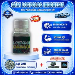 Cám LOSPOLOS 25g Nhập Khẩu Indonesia | Kích Viền Trắng, Xóa Batik, Tăng Màu Xanh Cho Cá Lóc Lạnh 3