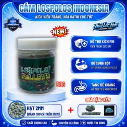 Cám LOSPOLOS 25g Nhập Khẩu Indonesia | Kích Viền Trắng, Xóa Batik, Tăng Màu Xanh Cho Cá Lóc Lạnh 5
