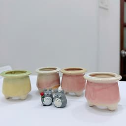 [mieugarden] Chậu men rạn form tròn nhiều mẫu size mini màu pastel trồng sen đá mini, lithops, cono 4