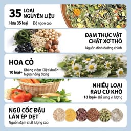 DK JESSI THẢO MỘC TRỘN THỨC ĂN CHO HAMSTER thanh nhiệt giải độc duy trì cân bằng lượng đường trong máu 4
