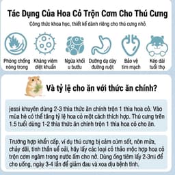 DK JESSI THẢO MỘC TRỘN THỨC ĂN CHO HAMSTER thanh nhiệt giải độc duy trì cân bằng lượng đường trong máu 3