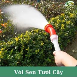 Vòi sen tưới cây 1000 lỗ chuyên cho rau, lan và hoa cây cảnh vườn rau 7