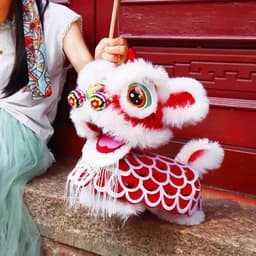 DIY tự lắp Đèn Lồng Trung Thu Cho Bé Tiểu Lân Đăng 35cm, Đèn Múa Lân Vải Dạ Bản VIP Premium Chụp Ảnh (Hàng Diy tự ráp) 7