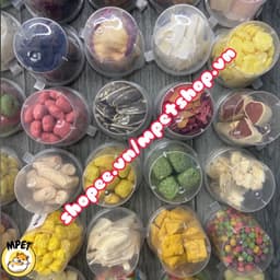 Combo - Set hủ đồ ăn dặm (mix không trùng món) cho hamster, sóc, nhím, bọ ú,.. 9