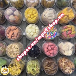 Combo - Set hủ đồ ăn dặm (mix không trùng món) cho hamster, sóc, nhím, bọ ú,.. 6
