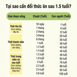 TACOCLO Thức ăn dành cho chuột hamster lớn tuổi công thức ít đường ít chất béo 2