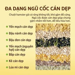 TACOCLO Thức ăn dành cho chuột hamster lớn tuổi công thức ít đường ít chất béo 4