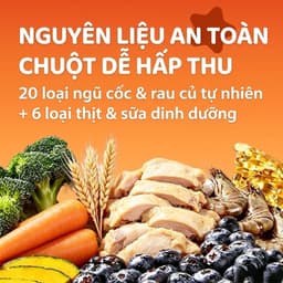 BEMYSTAR Thức ăn nén cho chuột hamster cải thiện kén ăn tăng cường vóc dáng 2