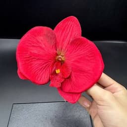 Cài Tóc Hoa Lan Hồ Điệp Đỏ Nhung Cô Dâu - Kẹp Phụ Kiện Tóc Cưới Ăn Hỏi Nhiều Màu 3