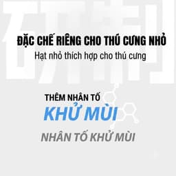 BELGI cát tắm cho chuột hamster nhiều mùi làm sạch lông thơm mát 3
