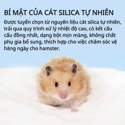 BELGI cát tắm cho chuột hamster nhiều mùi làm sạch lông thơm mát 5