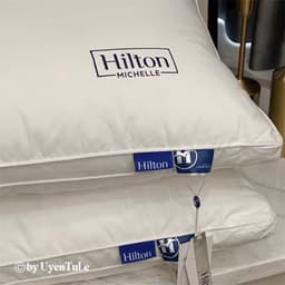 Ruột gối hilton bông tự nhiên kt 48x74cm 5