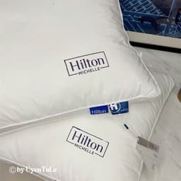 Ruột gối hilton bông tự nhiên kt 48x74cm 6