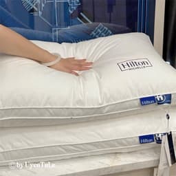Ruột gối hilton bông tự nhiên kt 48x74cm 7
