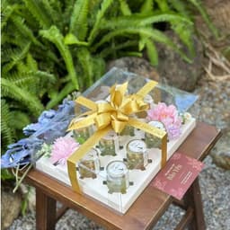 Hộp đựng yến chưng. Loại 2/4/6/8/10/12 hũ 6