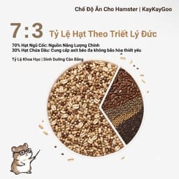 KAYKAYGOO Thức ăn hamster thảo mộc đạm côn trùng theo công thức Đức 5