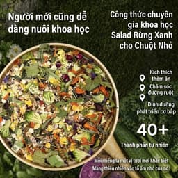 KAYKAYGOO Thức ăn hamster thảo mộc đạm côn trùng theo công thức Đức 4