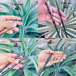 CẦN BỌ CẠP  ĐẠI NGÁO MẨU MỚI BẢN NÂNG CẤP CACBON XOẮN Cần Đứng Khoen đề ba cao to   ) LURE ( câu ao hồ) kèm khóa link 7